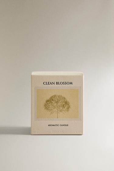 (180 G) CLEAN BLOSSOM SCENTED CANDLE - Green/White by Zara - Image 3
