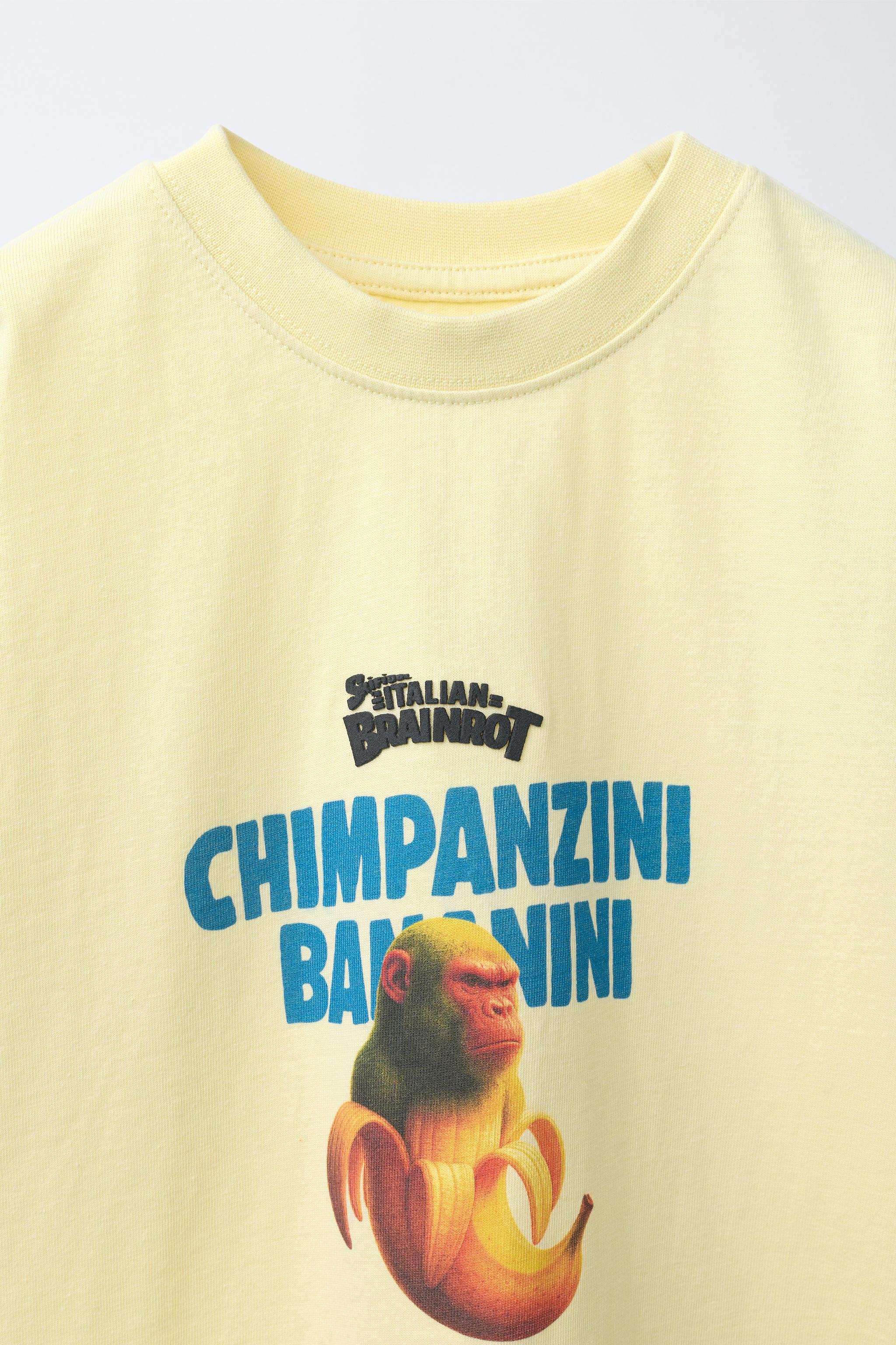 Zara SIX SEVEN SKIFIDOL ITALIAN BRAINROT™ PRINT T-SHIRT — фото 3