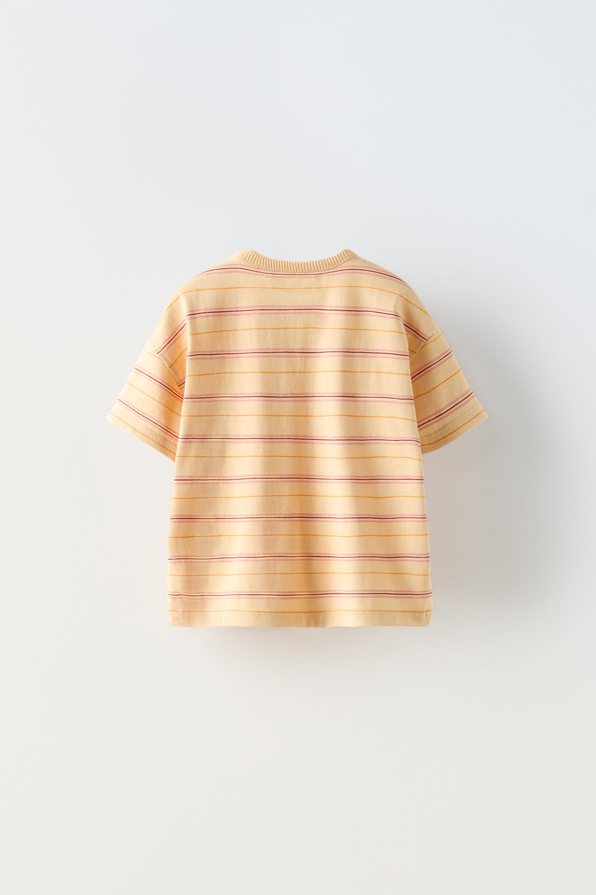 ストライプエンブロイダリー Ｔシャツ - ベージュ | ZARA Japan / 日本