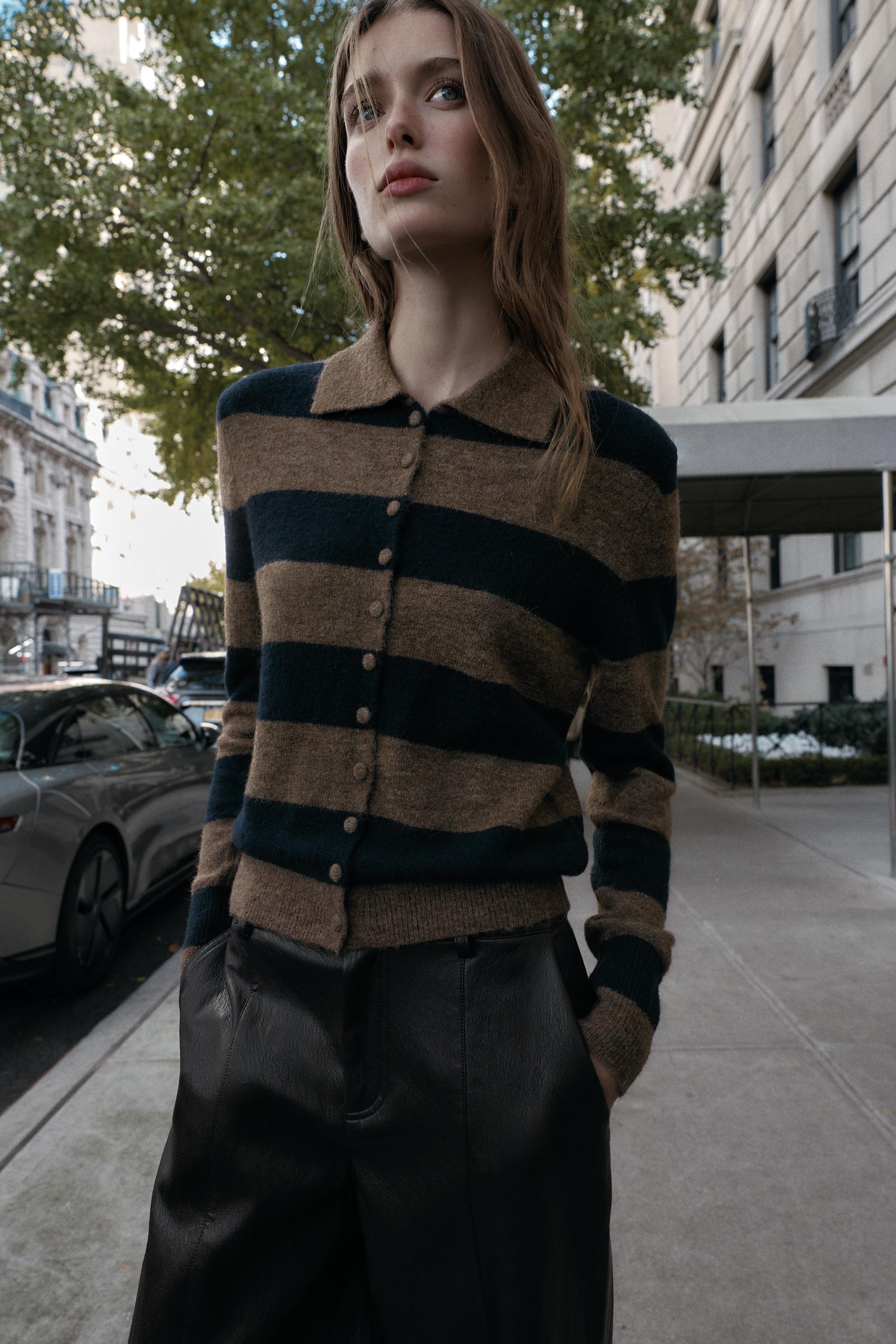 ストライプニットカーディガン - ブラウンブルー | ZARA Japan / 日本