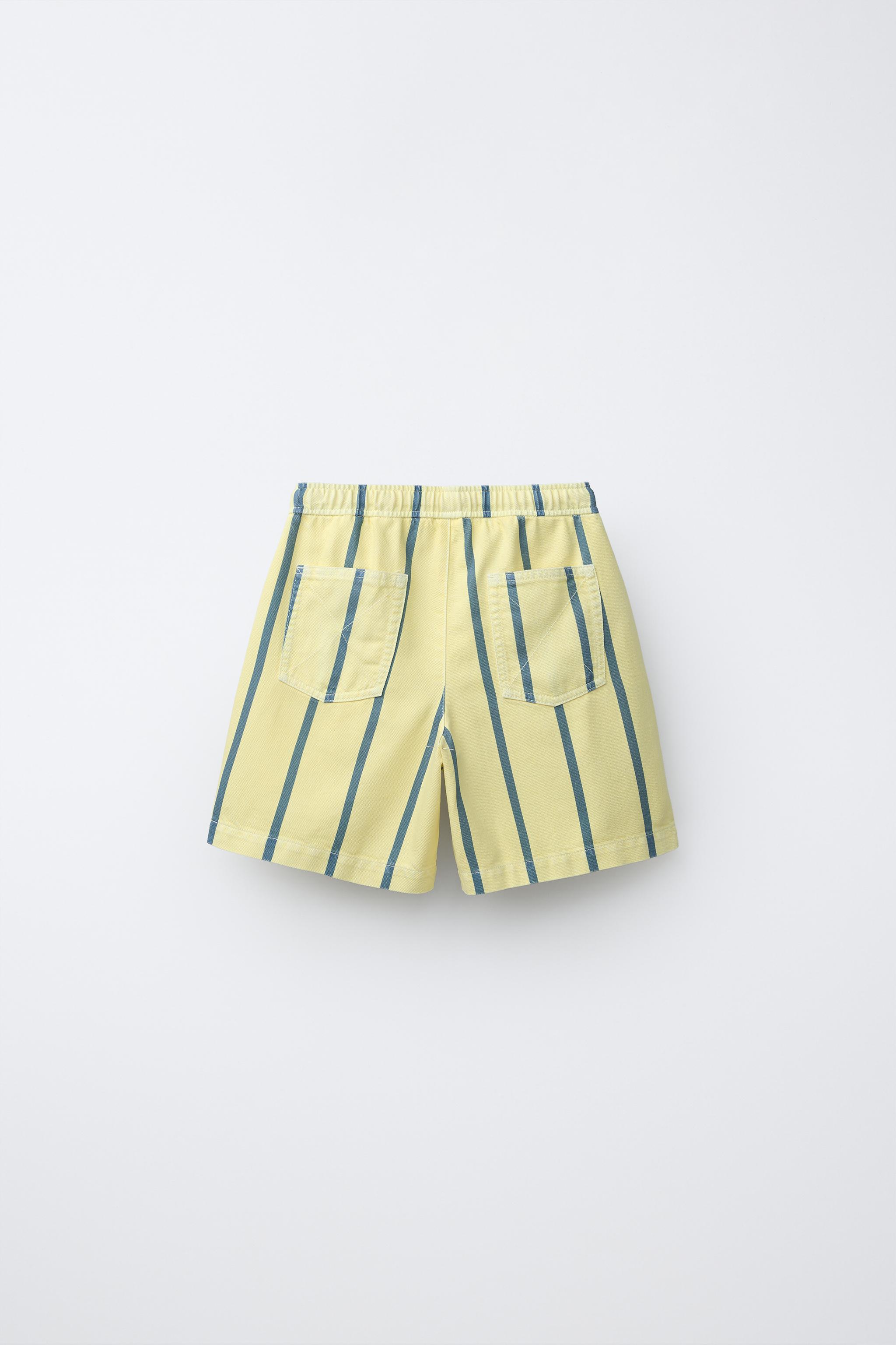 FLUID STRIPED SHORTS
