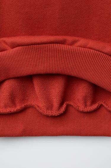 PATCH HOODIE - Brick de Zara - Image 3