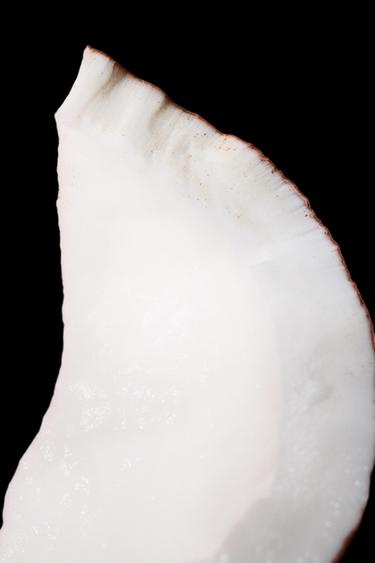 ORCHID EDP & WONDER ROSE EDT 2X90ML (3.0 FL. OZ). -  de Zara - Imagen 0