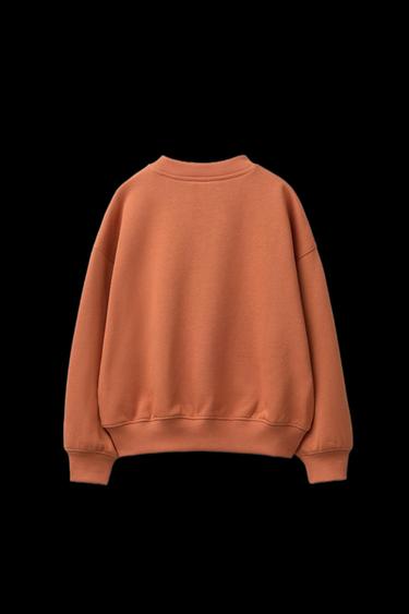 Zara EMBROIDERED TEXT SWEATSHIRT - Brick