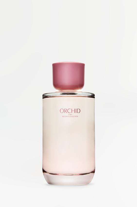 zara orchid