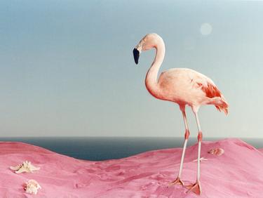 Ropa para Bebé Niña ZARA