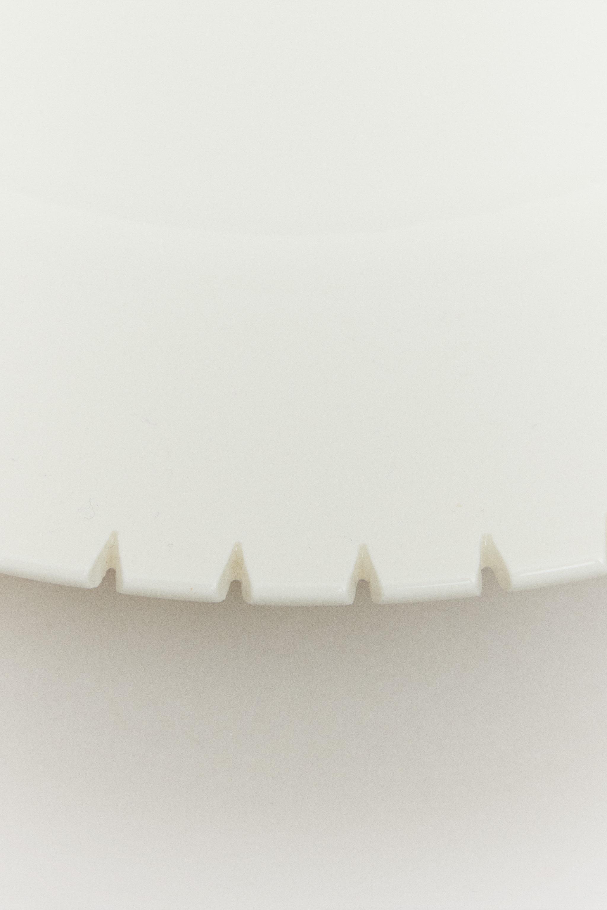 THE DENTATA FLAT PLATE
