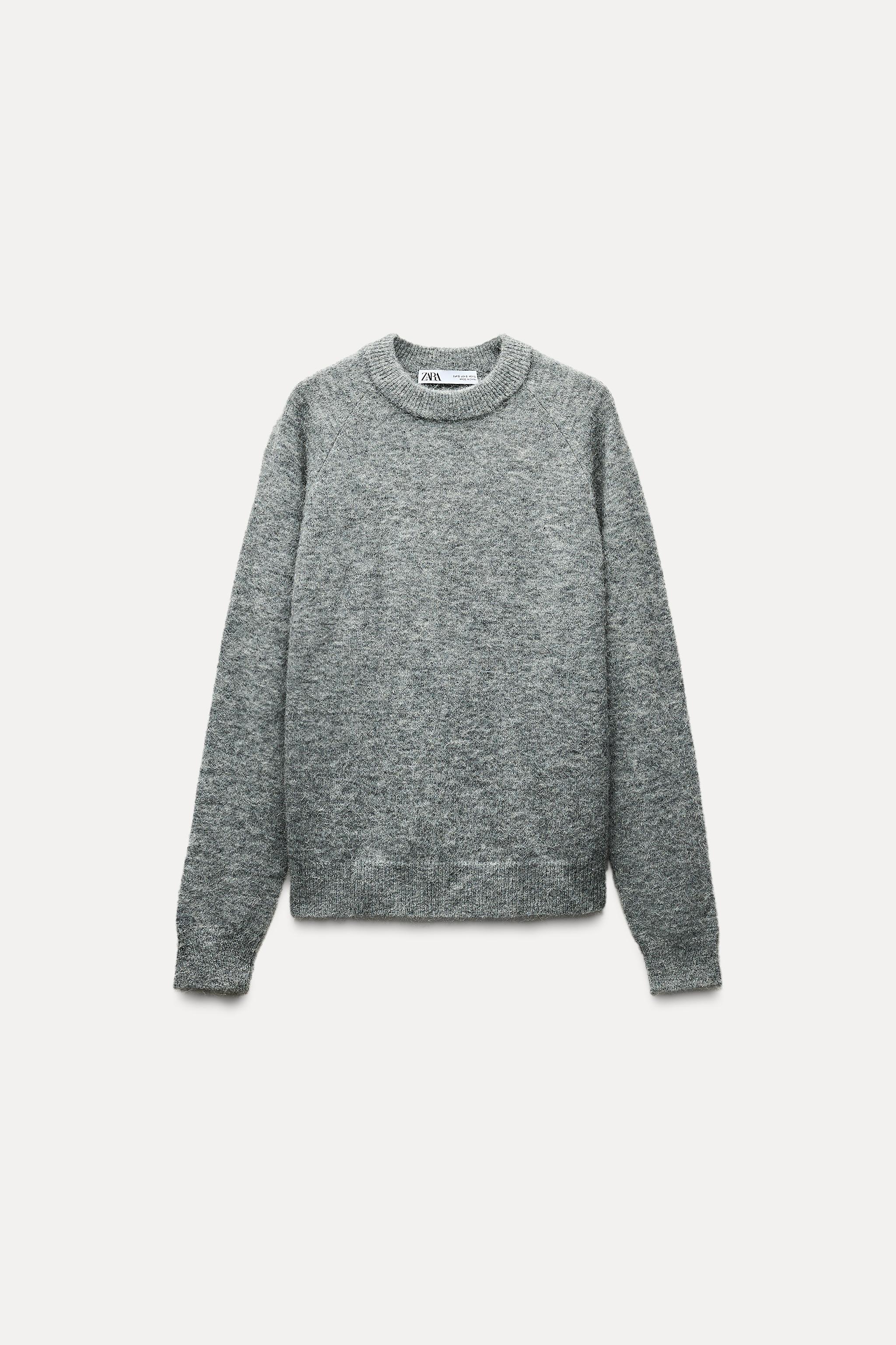 Champion sweater crew neck zara best sale