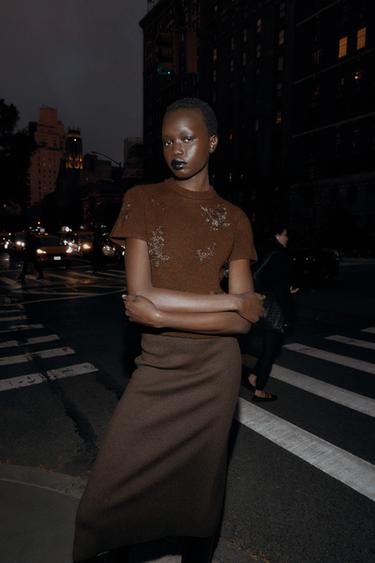 SHORT SLEEVE BEADED JUMPER - Brown by Zara - Image 0