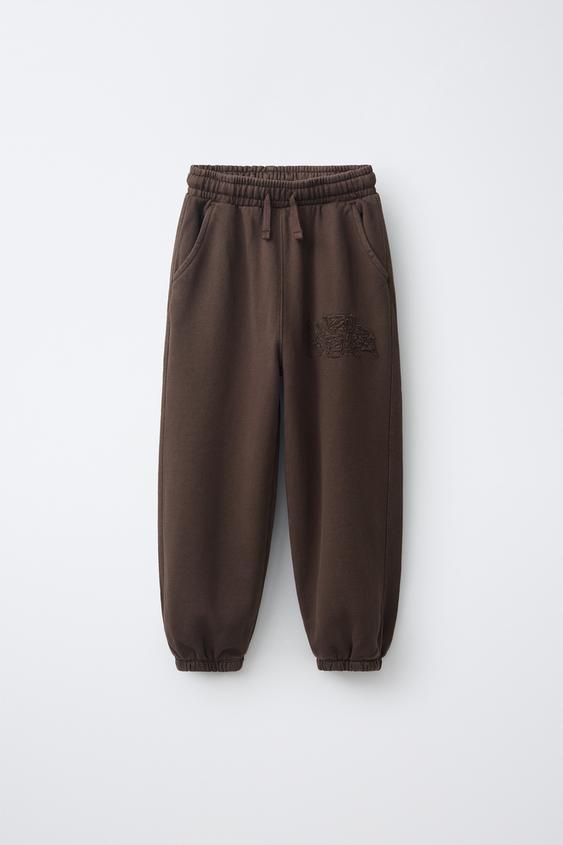 PANTALÓN JOGGER BORDADO - Marrón de Zara - Imagen 0