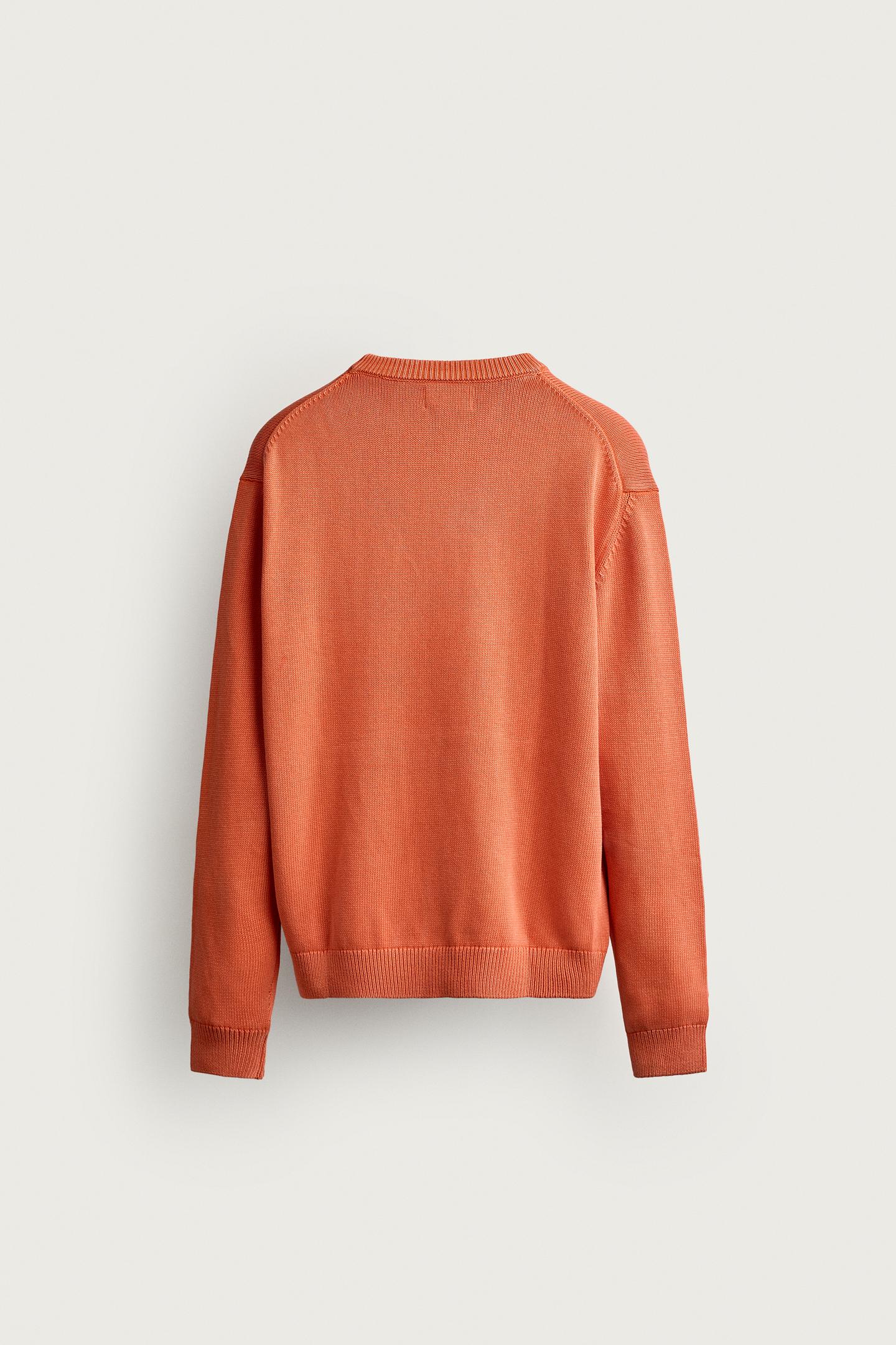 Мужской свитер Zara Fruit OF the Loom™ Embroidered 100% Cotton, цвет: Оранжевый — фото 7