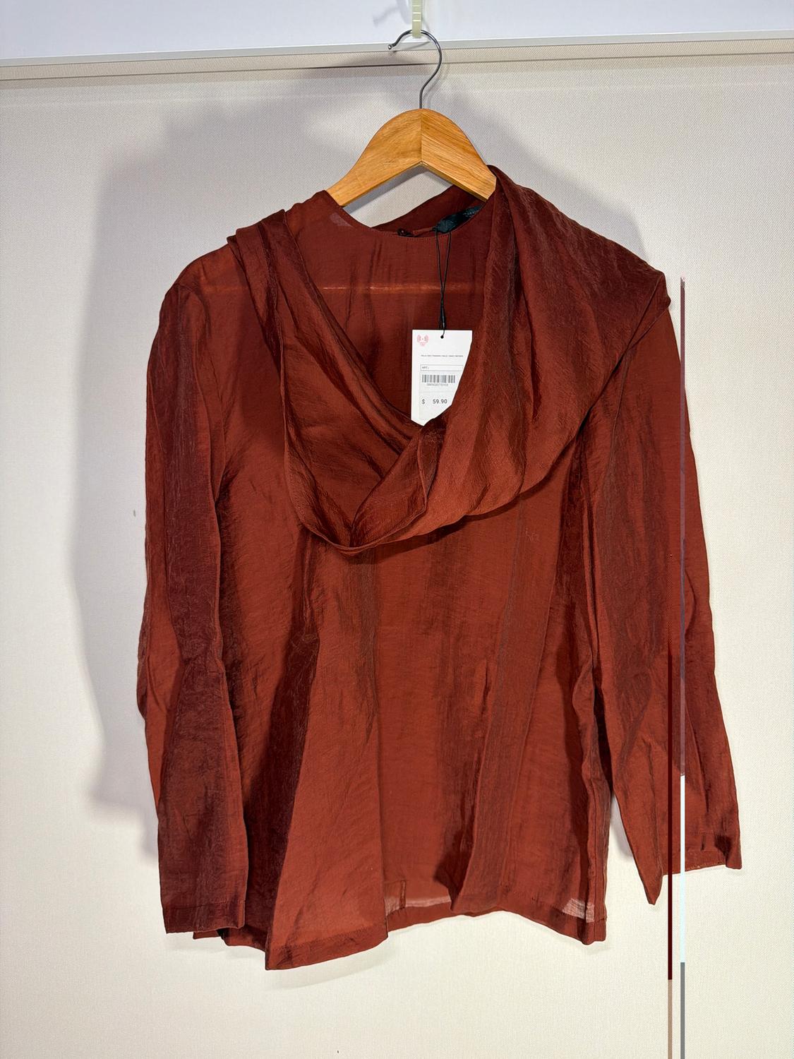 Translucent brown blouse hanging on a wooden hanger, with a visible price tag of $59.90, white background.