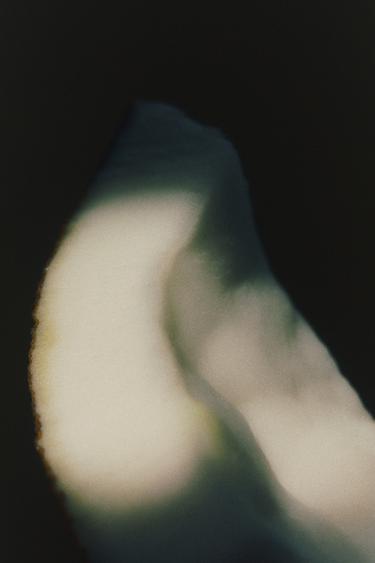 IMMORTAL VANILLA BLOOM EDP 80ML (2.71 FL. OZ). -  von Zara - Bild 0