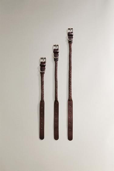 HUNDEHALSBAND LEDER FLECHTMUSTER - Braun von Zara