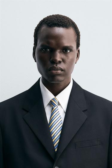 100% SILK STRIPED TIE - Stripes by Zara - Image 0