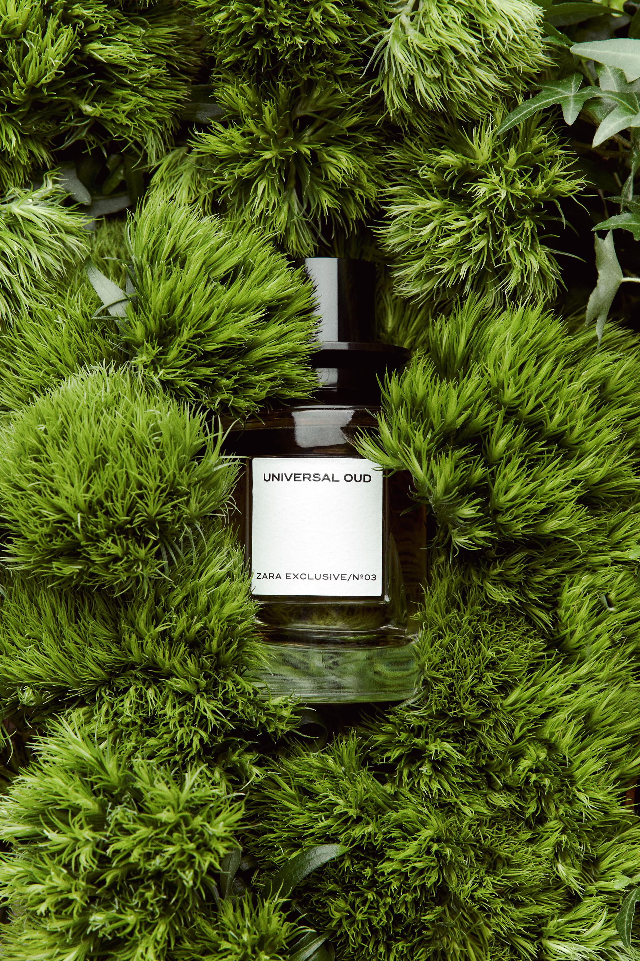 UNIVERSAL OUD EDP 100ML | ZARA Japan / 日本