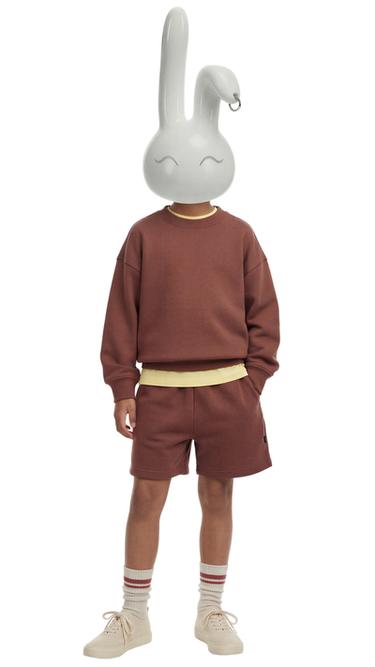 SWEAT BASIQUE À INSCRIPTION ET ÉTIQUETTE - Marron de Zara