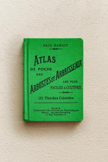 LIVRE ATLAS DE POCHE DES ARBUSTES ET ARBRISSEAUX - Vert de Zara - Image 5