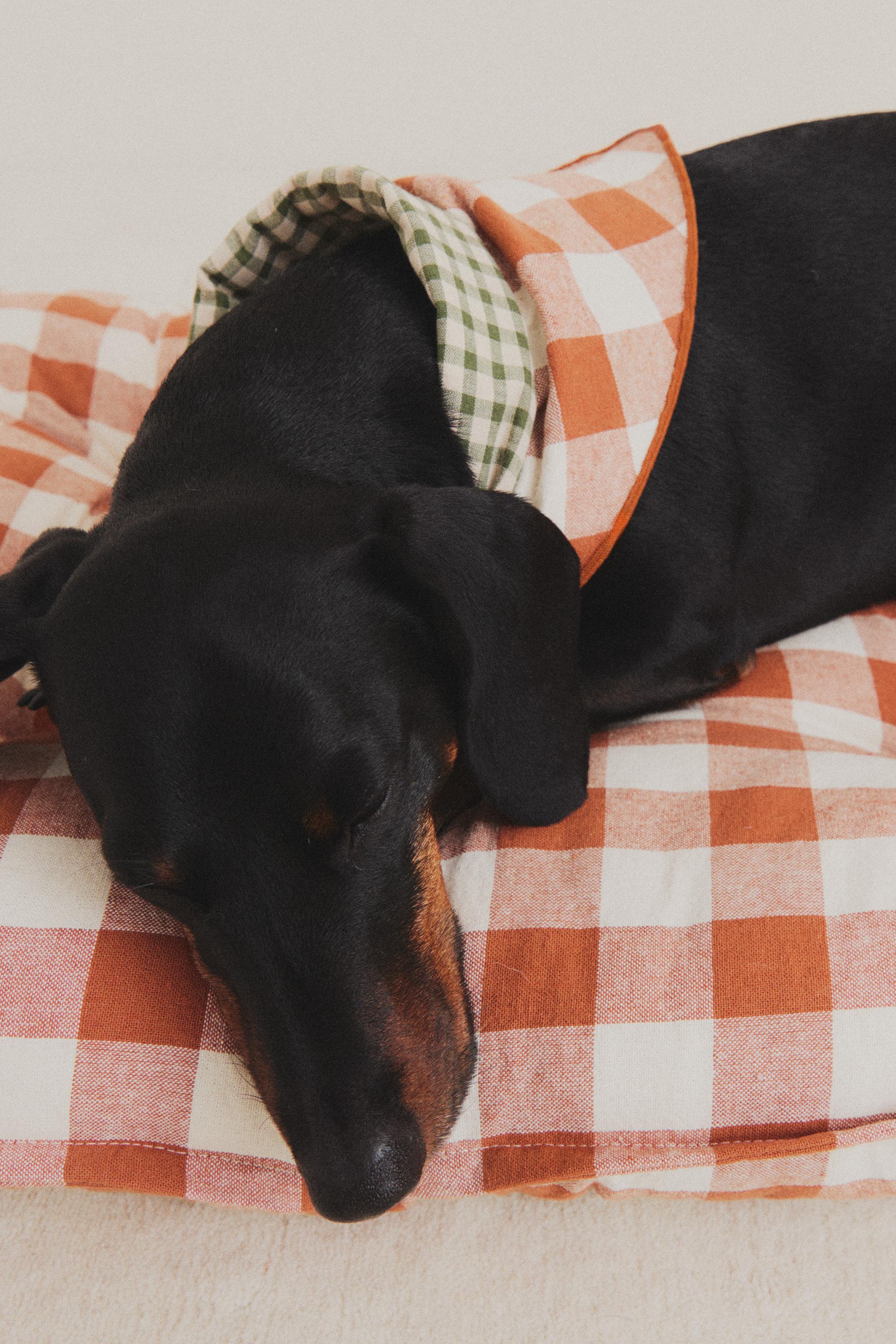 SURMATELAS VICHY ANIMAUX DE COMPAGNIE