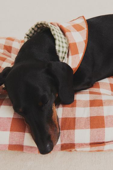 SURMATELAS VICHY ANIMAUX DE COMPAGNIE - Orange de Zara - Image 5