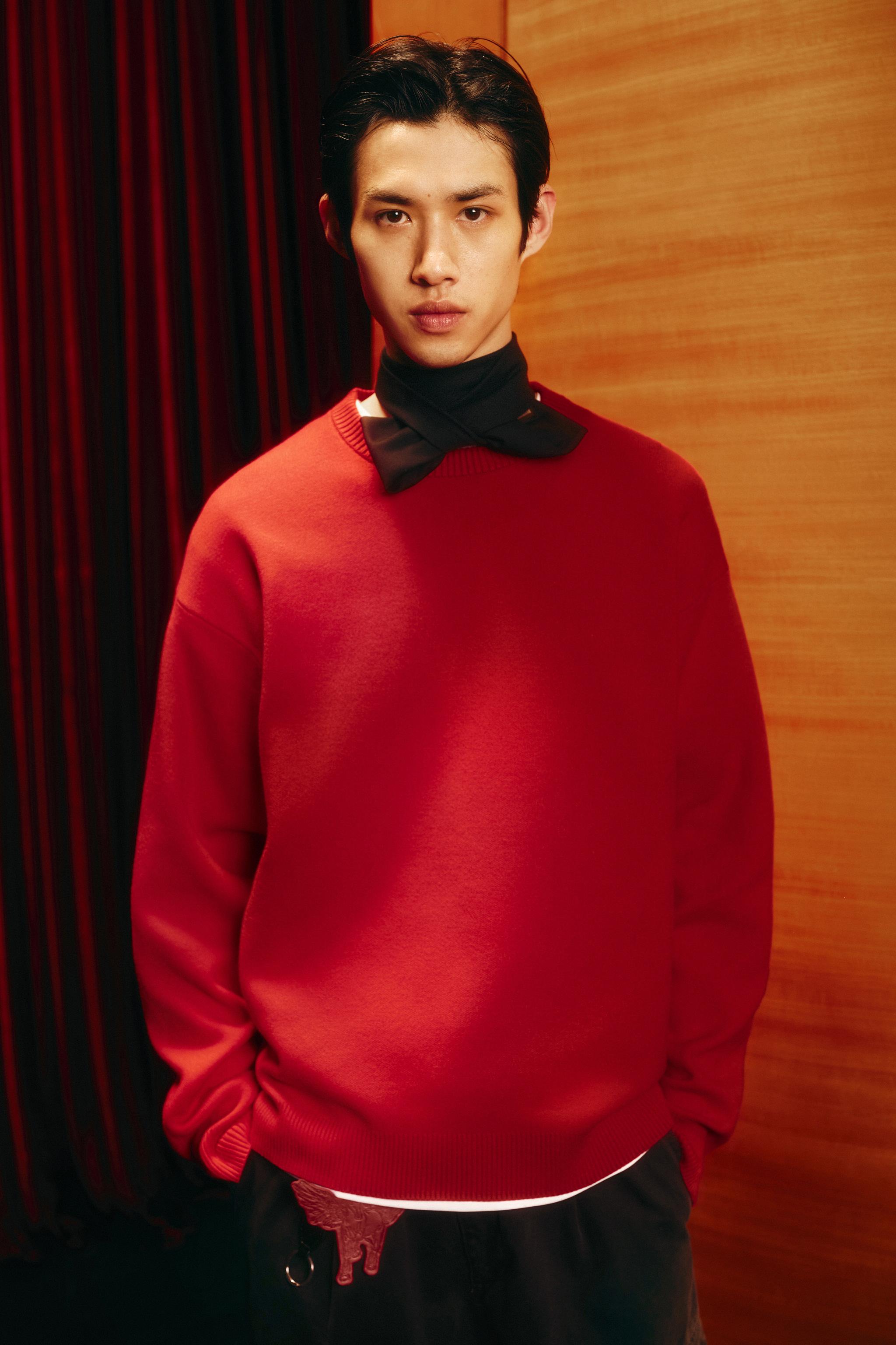 ジャンパー＆セーター - メンズ | ZARA 日本