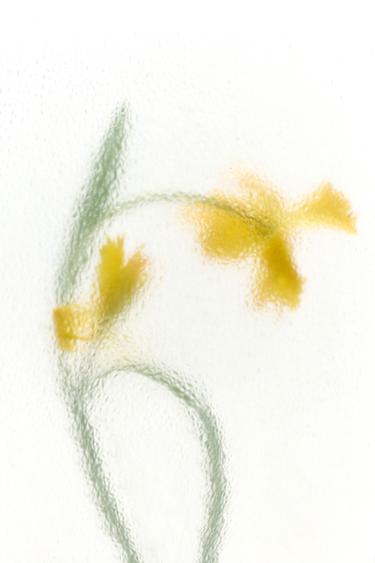 FIELDS AT NIGHTFALL SUMMER EDP 100ML (3.4 FL. OZ). -  by Zara - Image 0