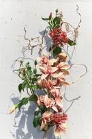 HİBİSKUS EDP 90ML (3.0 FL. OZ). - Görsel 2