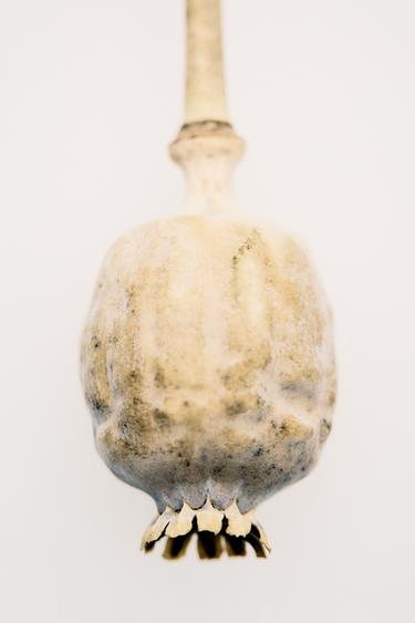 VIBRANT LEATHER EDP 100 ML / 3.38 oz - TINTED LEATHER by Zara