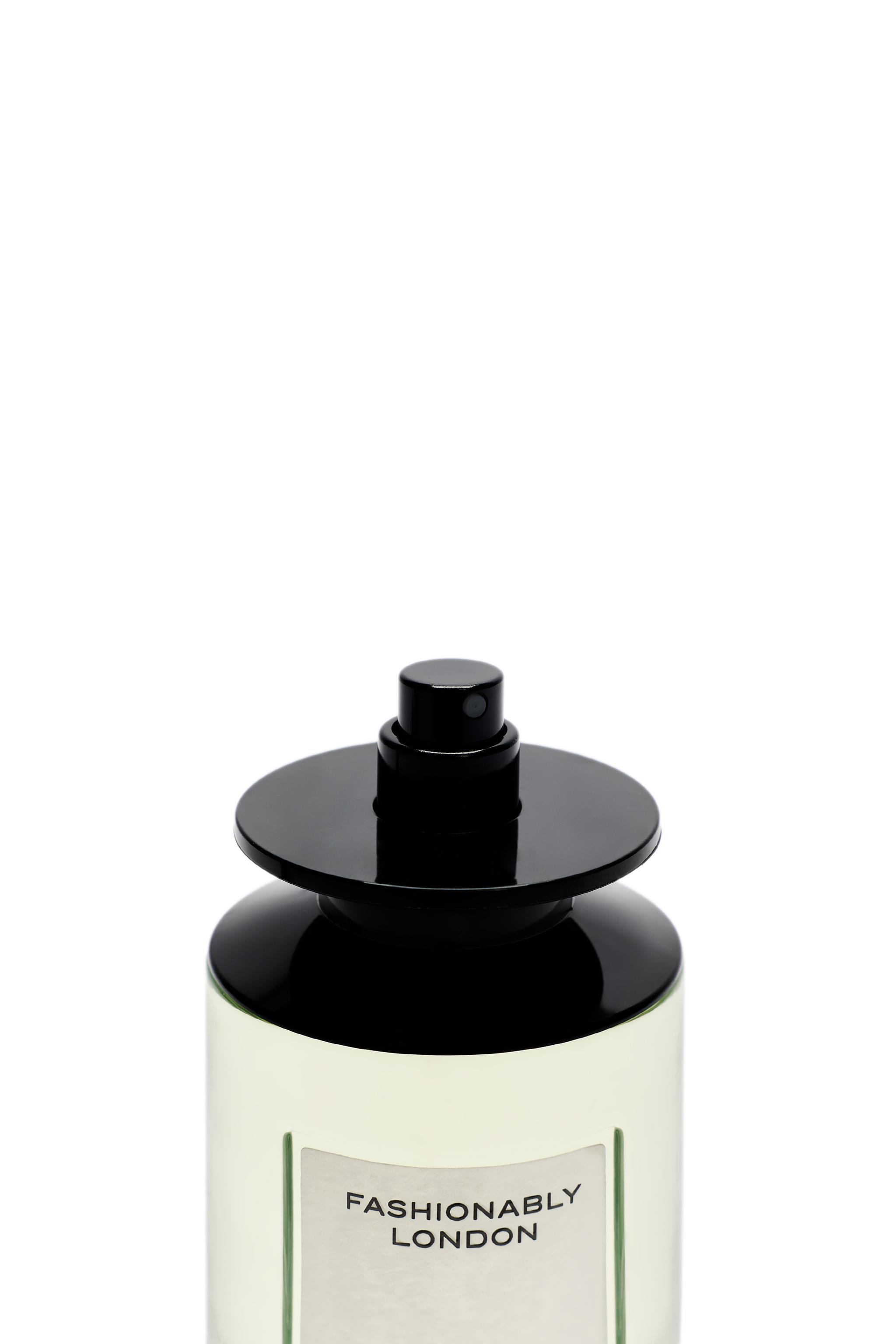 FASHIONABLY LONDON EDP 100ML (3.4 FL.OZ). | ZARA United States