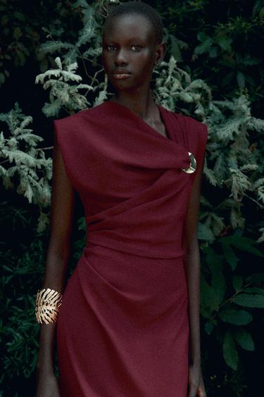 GOLD APPLIQUÉ MIDI DRESS - Raspberry by Zara - Image 5