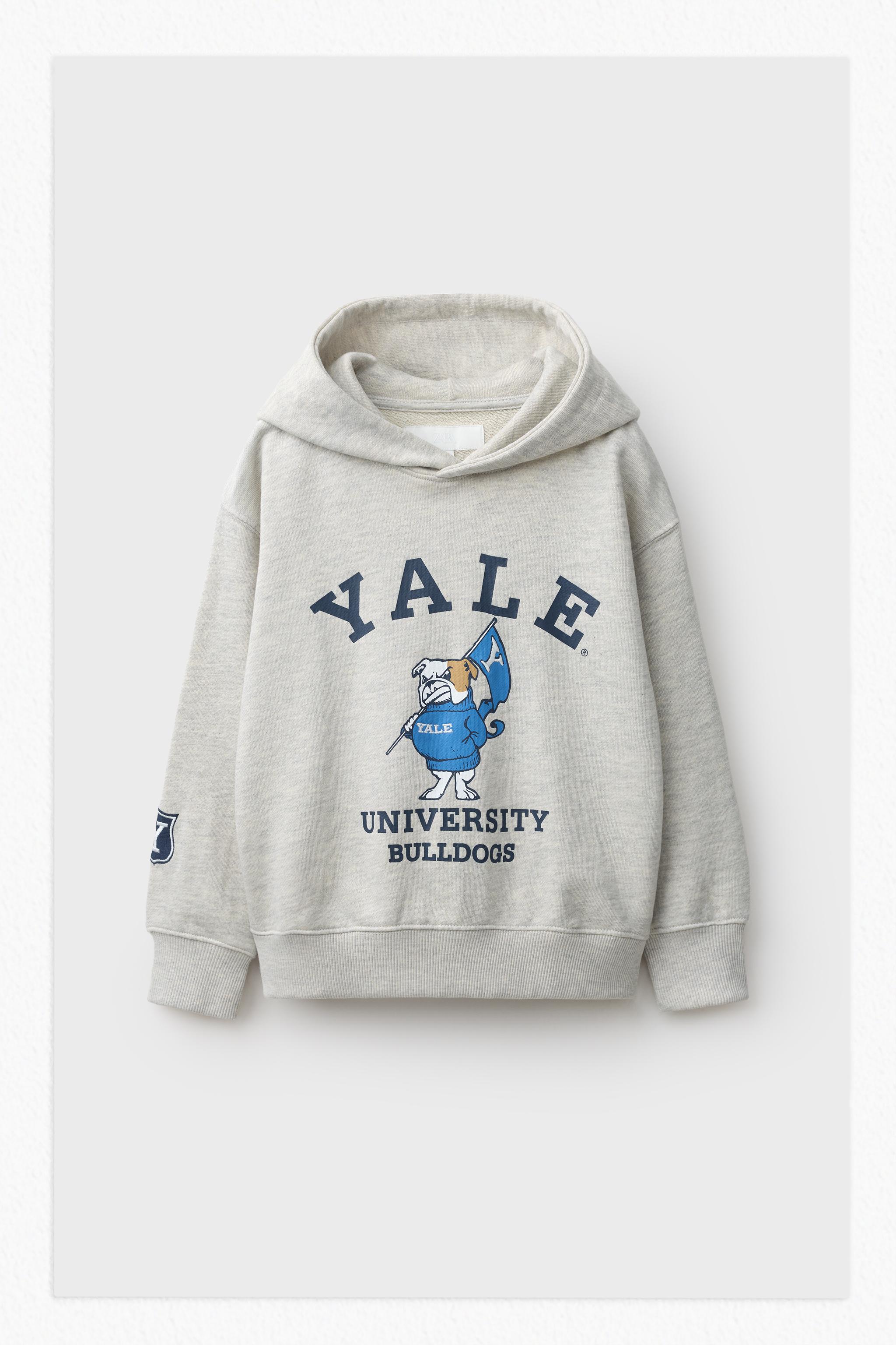 YALE™ PRINT HOODIE — Gray marl