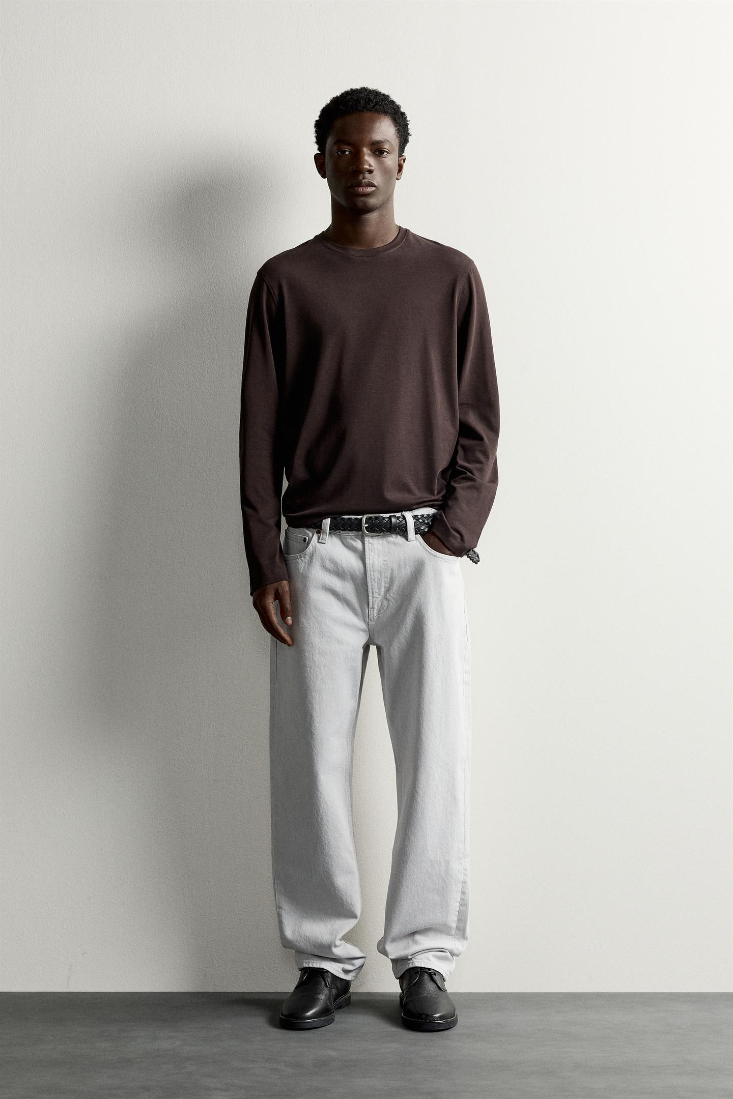 Мужская футболка Zara Regular Fit Long-Sleeve T-SHIRT, цвет: Коричневый