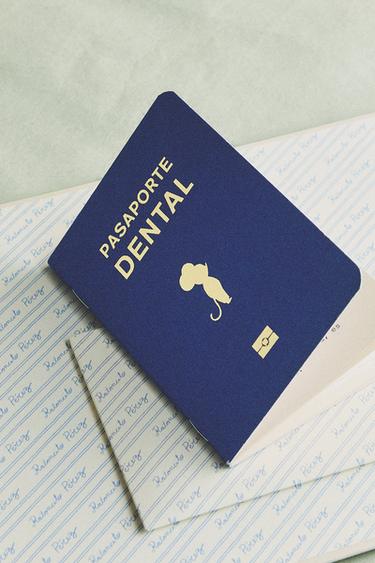 LIVRE ENFANT LA PETITE SOURIS ET PASSEPORT DENTAIRE - Multicolore de Zara