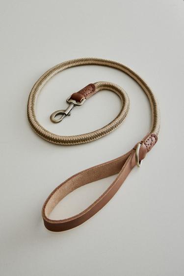 LAISSE EN CUIR POUR CHIENS - Vert de Zara - Image 4