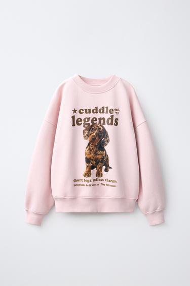 TECKEL TXAKURRAREN ESTANPATUDUN KIROL-JERTSEA - Arrosa, Zara-rena