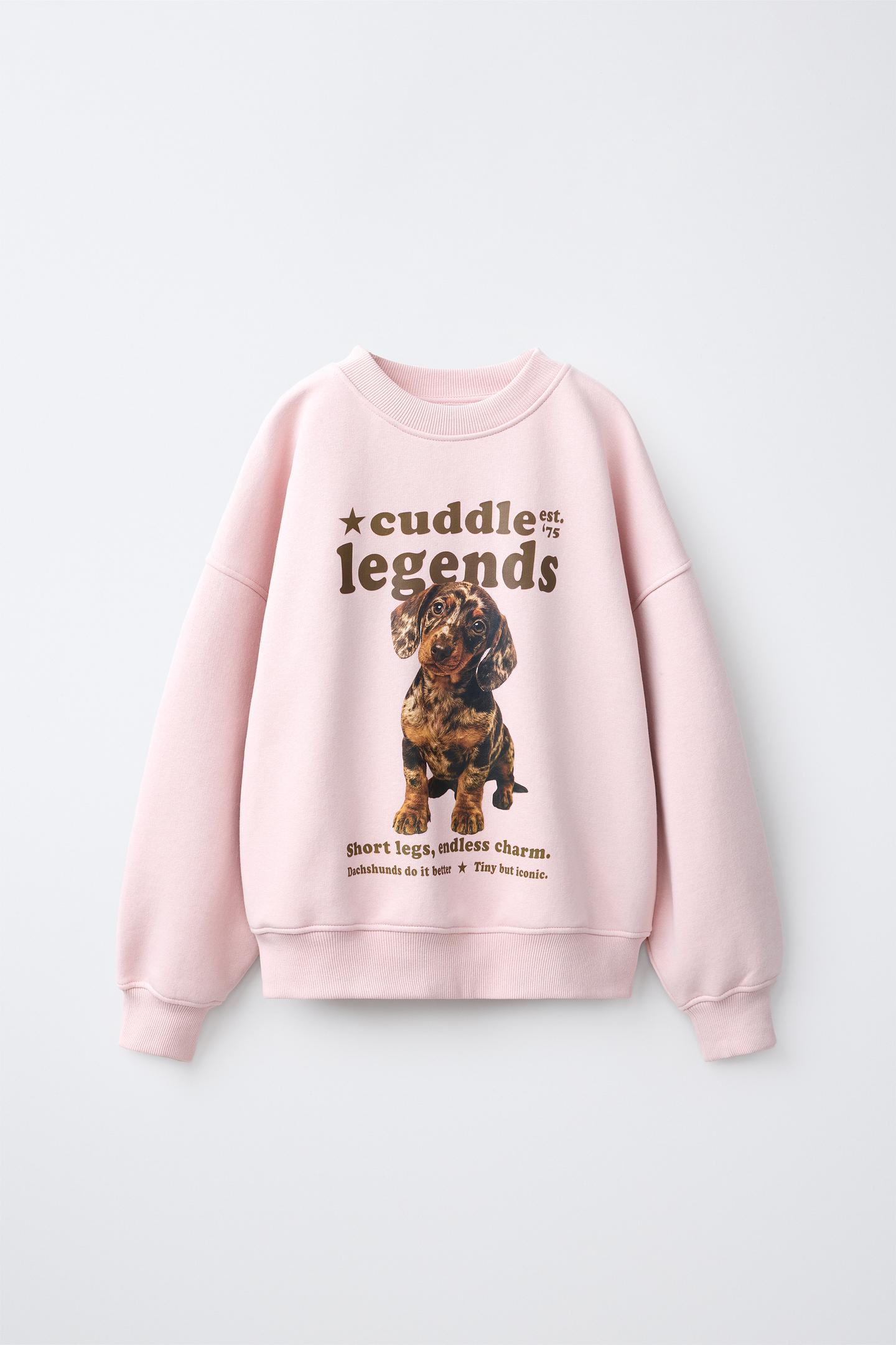 Детская толстовка Zara Dachshund Print, цвет: Розовый — фото 1
