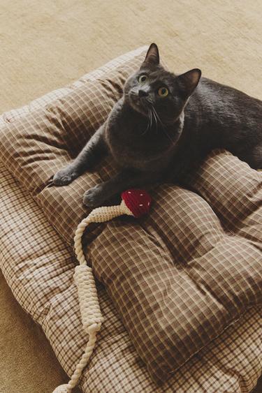 CHECK PET TOPPER – Zöld a ZARA-tól