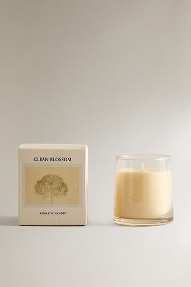 (180 G) CLEAN BLOSSOM SCENTED CANDLE - Green/White by Zara