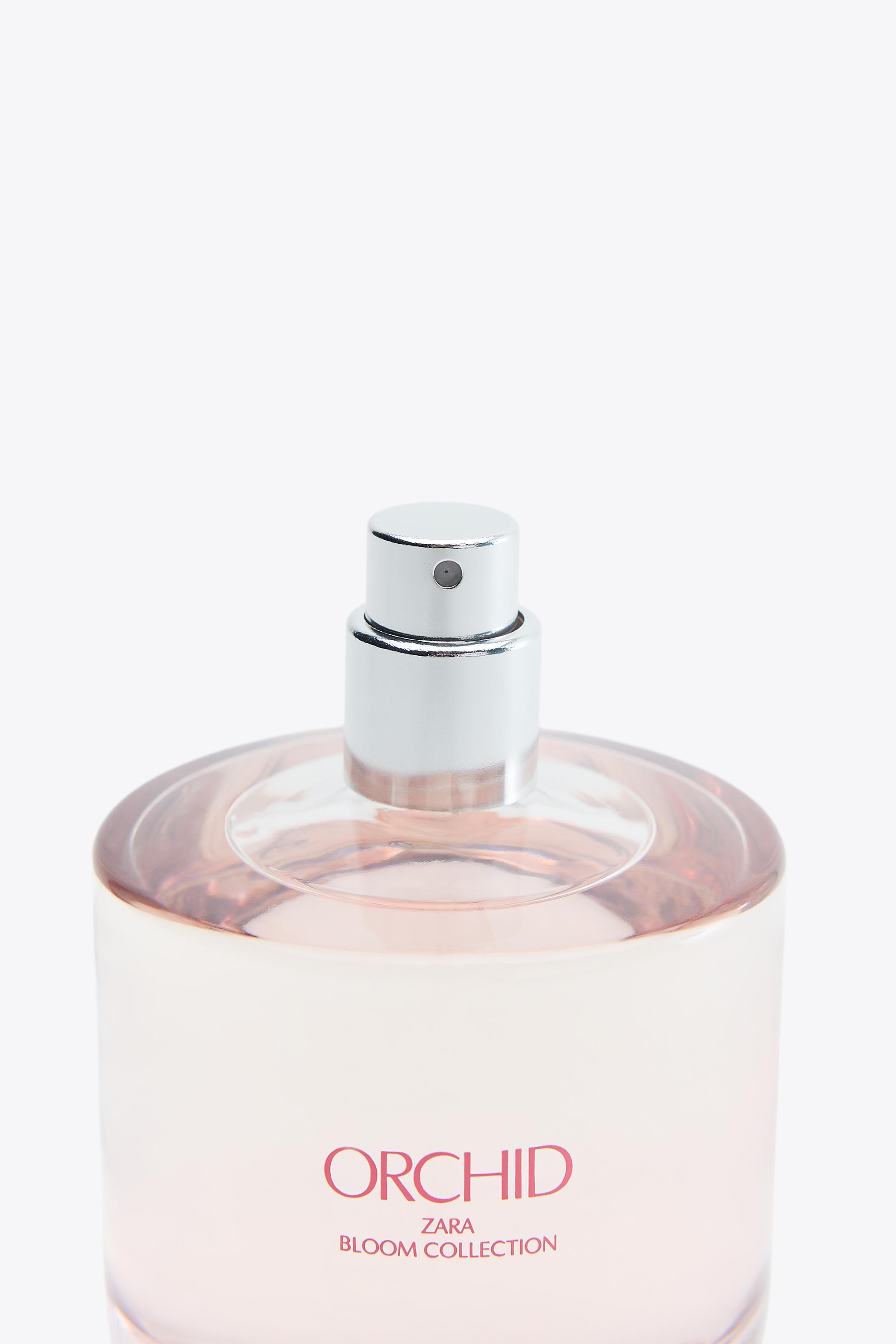 ORCHID EDP 90ML ZARA Estados Unidos de América