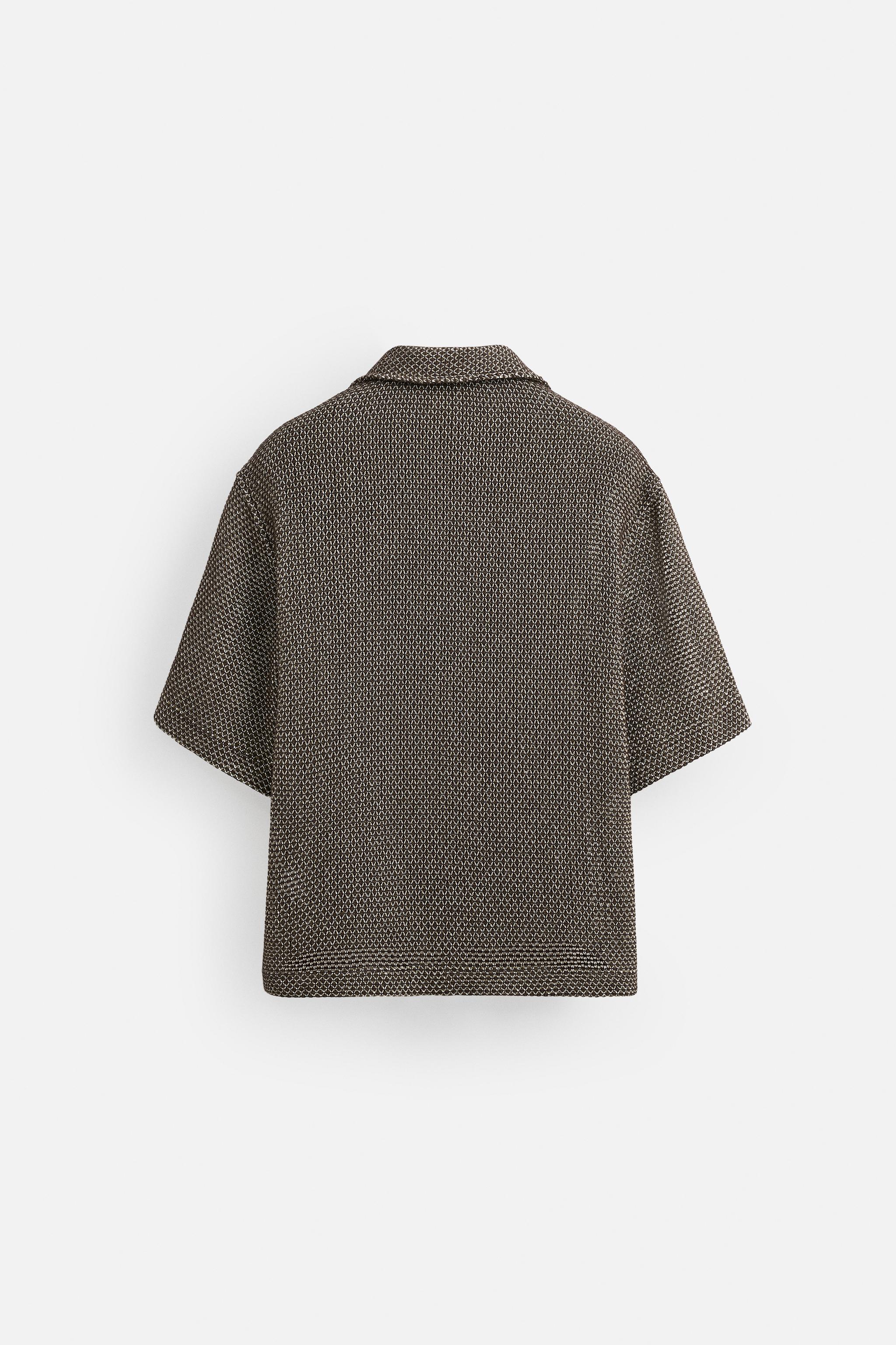 オープンニットポロシャツ - エクリュ/ブラウン | ZARA Japan / 日本