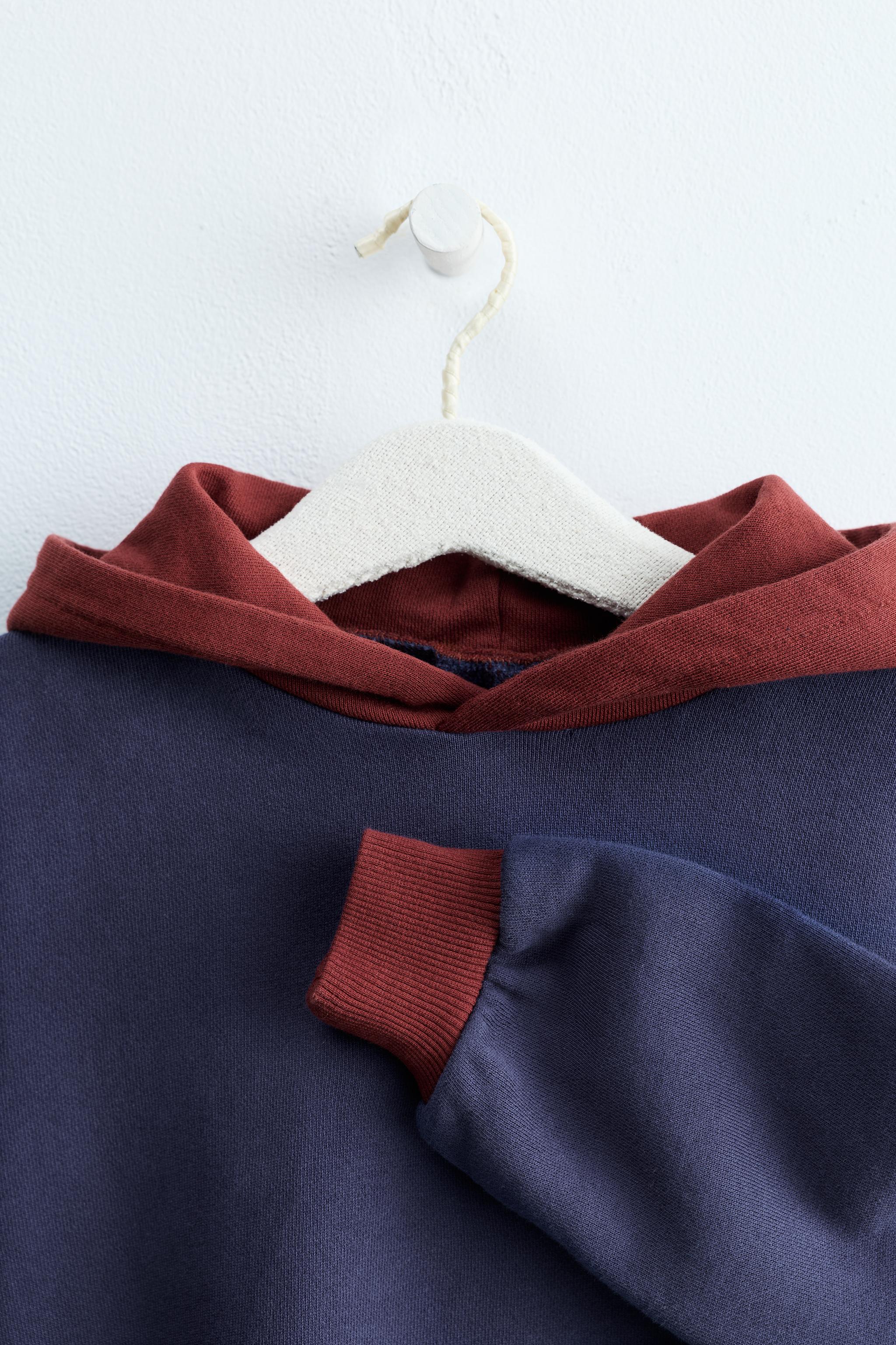 ZARA TIMELESS - SWEAT À CAPUCHE COLORBLOCK