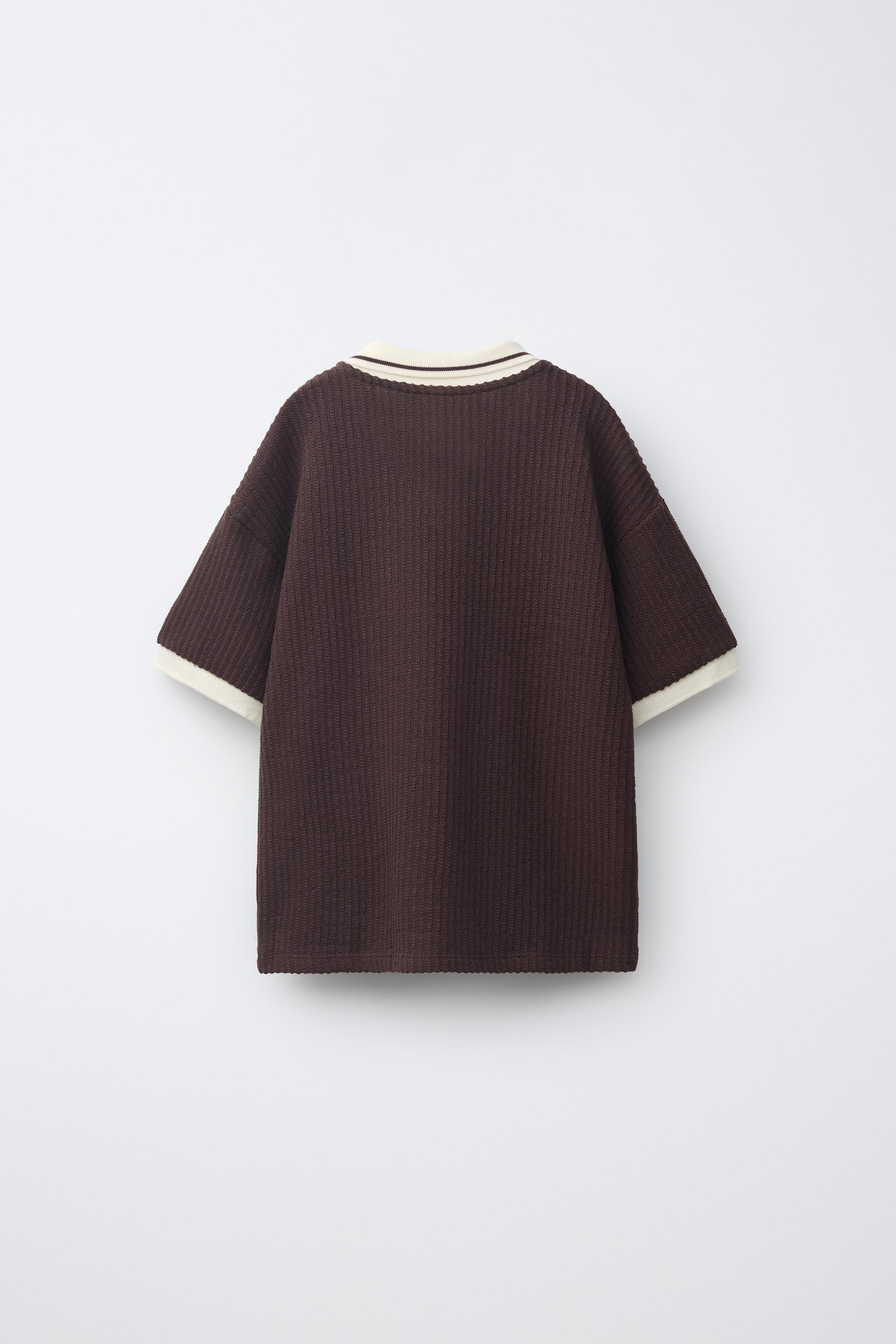EMBROIDERED TEXTURED POLO - Brown / Ecru | ZARA Canada