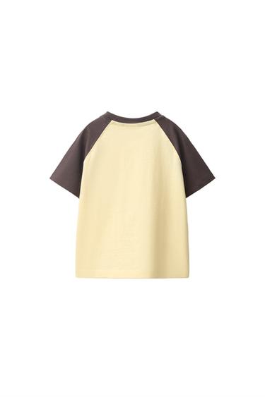 EMBROIDERED RAGLAN SLEEVE T-SHIRT - Brown by Zara