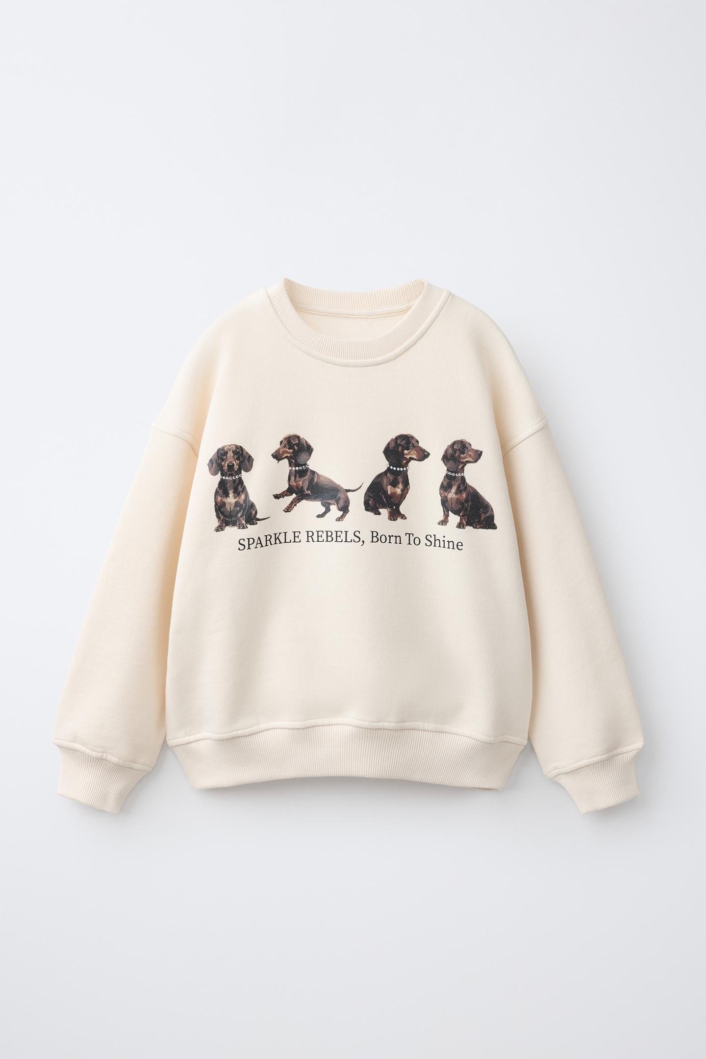 Детская толстовка Zara Dog Print, цвет: Экрю