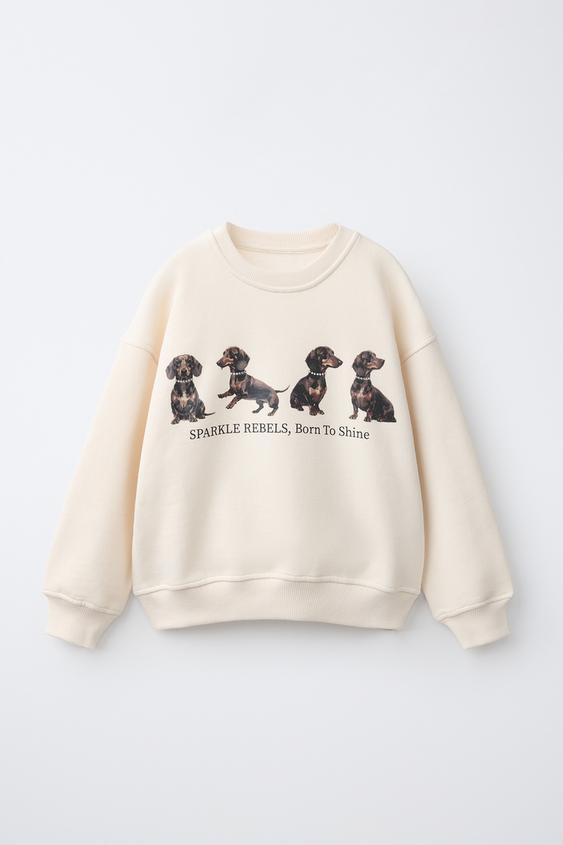 SWEAT À IMPRIMÉ CHIENS - Écru de Zara - Image 0