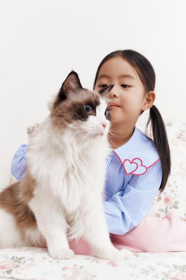 STRIPED SHIRT WITH HEARTS COLLAR - Blue by Zara