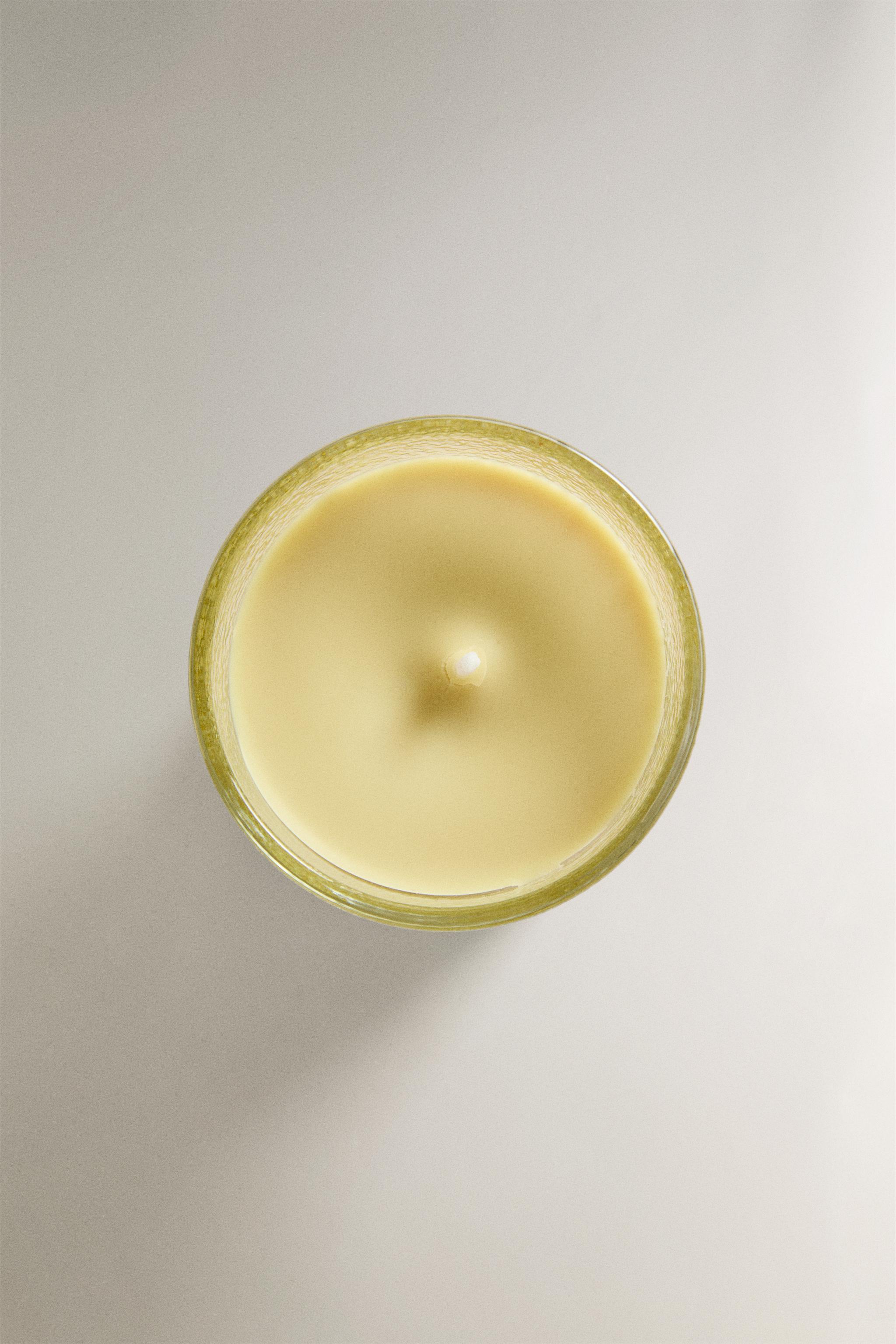 (155 G) BOUGIE PARFUMÉE VETIVER MELON