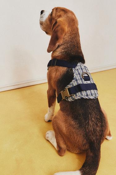 GINGHAM PET HARNESS - Blue by Zara