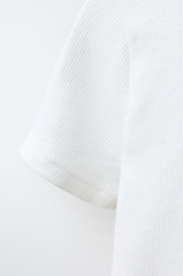 T-SHIRT CÔTELÉ IMPRIMÉ CHIEN - Blanc de Zara - Image 3