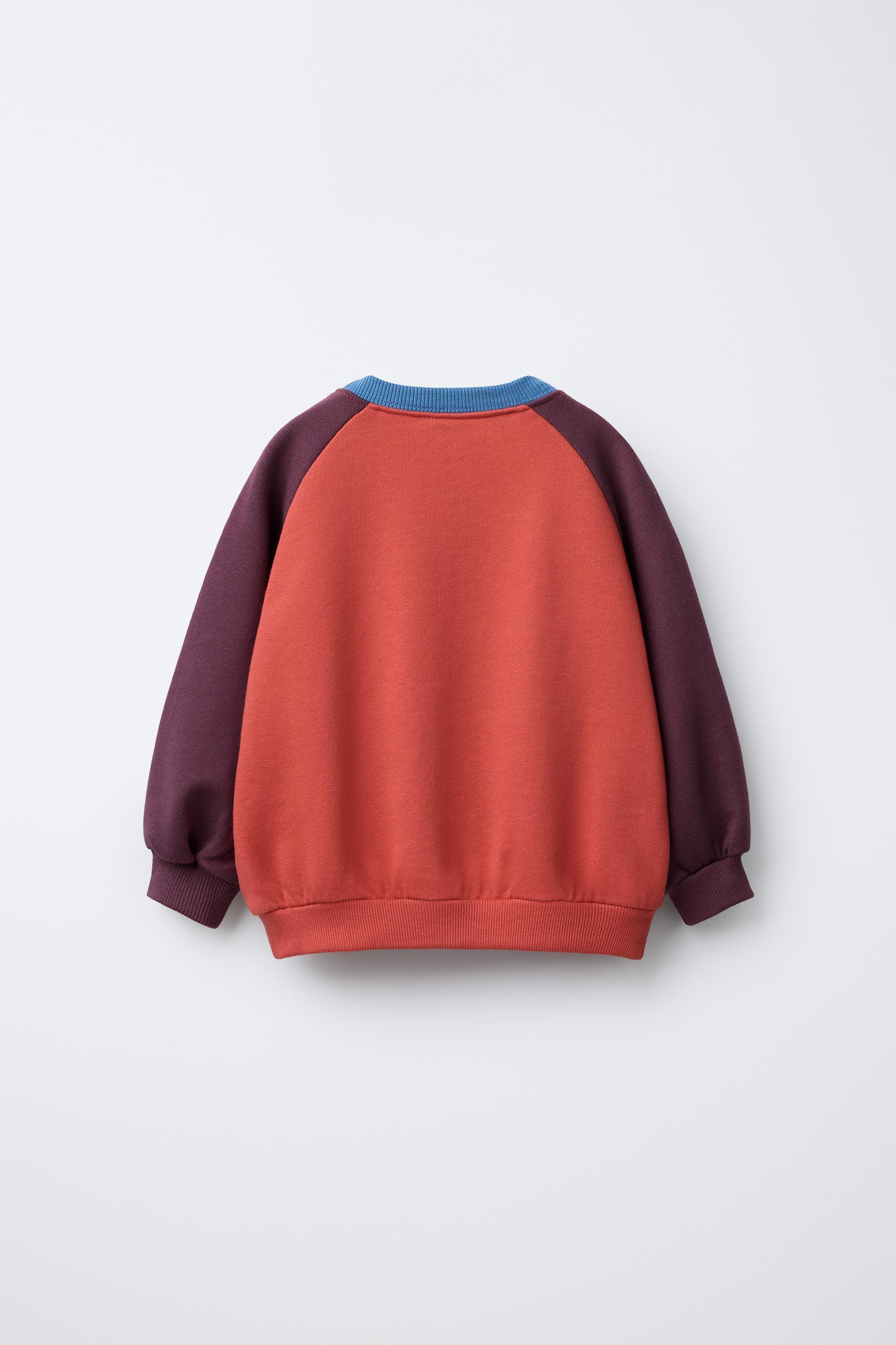 ラグランスリーブスウェットシャツ - レディッシュ | ZARA Japan